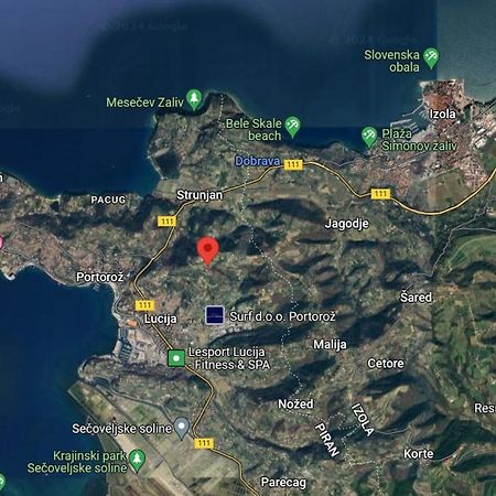 Apartma Ester Lucija Dış mekan fotoğraf